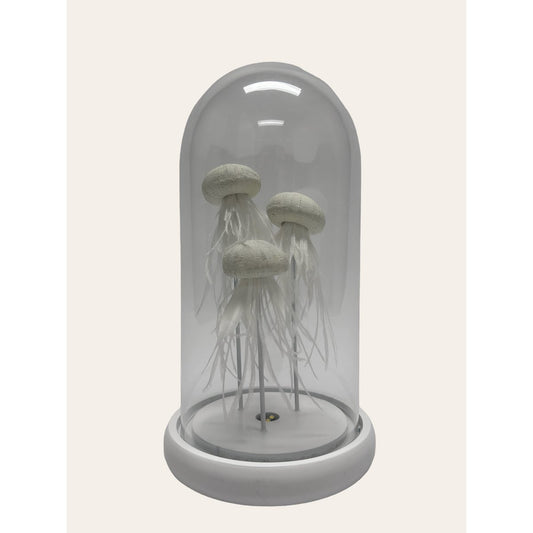 Witte Veerkwallen in Glazen Stolp met Verlichting